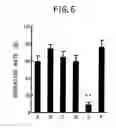 Fig. 07 - Malignant tumor-inhibiting preparation comprising Des A fibrin