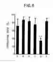 Fig. 09 - Malignant tumor-inhibiting preparation comprising Des A fibrin