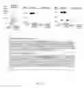 Fig. 02 - Compositions and methods for the treatment of disorders involving epithelial cell apoptosis
