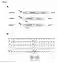 Fig. 02 - Optimized DNA and protein sequence of an antibody to improve quality and yield of bacterially expressed antibody fusion proteins