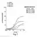 Fig. 07 - Nucleic Acid Ligands Specific to Immunoglobuline E and Their Use as Atopic Disease Therapeutics