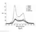 Fig. 09 - Nucleic Acid Ligands Specific to Immunoglobuline E and Their Use as Atopic Disease Therapeutics