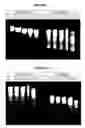 Fig. 02 - MODIFICATION OF DOUBLE-STRANDED RIBONUCLEIC ACID MOLECULES