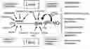 Fig. 01 - METHODS AND COMPOSITIONS FOR THE TREATMENT OF VASCULAR DISEASE