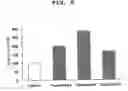 Fig. 05 - METHOD FOR PROMOTING GASTROINTESTINAL FUNCTION AND METHOD FOR SCREENING FOR PROMOTER OF GASTROINTESTINAL FUNCTION
