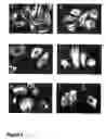 Fig. 03 - DAT1