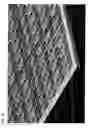 Fig. 02 - Plaster which releases active compound