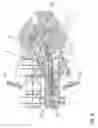 Fig. 09 - Hydrostatic transmission having two axial piston units