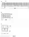 Fig. 09 - Gas separation membrane module assembly with residue manifold