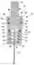 Fig. 01 - Cartridge with Internal Spring