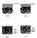 Fig. 02 - RARE EARTH SINTERED MAGNET AND PROCESS FOR PRODUCING THE SAME