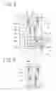 Fig. 06 - Linear motion-type gate valve