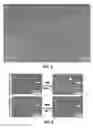 Fig. 06 - Structures of and methods for forming vertically aligned Si wire arrays