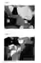 Fig. 02 - Silicon carbide based porous material and method for production thereof