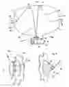 Fig. 02 - Airbag unit