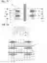Fig. 08 - Motor and control unit thereof