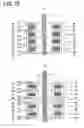 Fig. 09 - Motor and control unit thereof