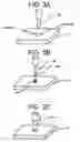 Fig. 04 - Specimen optical information recognizing device and its recognizing method