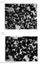 Fig. 02 - METHOD OF SELECTING PIGMENT AND TITANIUM DIOXIDE TAKING INTO ACCOUNT ENVIRONMENT UNDER MULTIPLE LIGHT SOURCES, AND COMPOSITION THEREOF