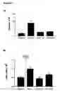 Fig. 03 - Novel CXCL8 antagonists