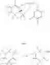 Fig. 32 - SUBSTITUTED CYCLOHEXENES