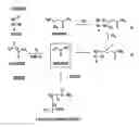 Fig. 01 - Method to limit acrylamide in heated foods