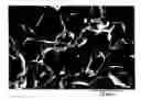 Fig. 01 - Oxide-type, magnetic material and its production method, and sintered ferrite magnet and its production method