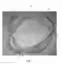 Fig. 02 - Shock absorbing fabric structures