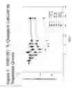 Fig. 08 - Polycationic calcium modulator peptides for the treatment of hyperparathyroidism and hypercalcemic disorders