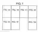 Fig. 02 - Transgenic animal model of bone mass modulation