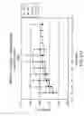 Fig. 49 - Transgenic animal model of bone mass modulation