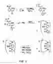 Fig. 02 - PHTHALAMIDE-LANTHANIDE COMPLEXES FOR USE AS LUMINESCENT MARKERS