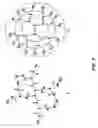 Fig. 08 - PHTHALAMIDE-LANTHANIDE COMPLEXES FOR USE AS LUMINESCENT MARKERS