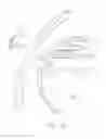 Fig. 18 -  DEVICE FOR INSUFFLATING THE INTERIOR OF A GASTRIC CAVITY OF A PATIENT