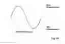Fig. 46 - Methods for utilizing vibratory energy to weld, stake and/or remove implants