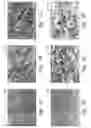Fig. 04 - Method of removing contaminants from a coating surface comprising an oxide or fluoride of a group IIIB metal