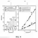 Fig. 09 - NOX SENSOR WITH IMPROVED SELECTIVITY AND SENSITIVITY