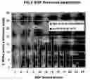 Fig. 06 - Electrochemical method of producing nano-scaled graphene platelets