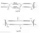 Fig. 02 - Electrochemical test strip