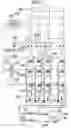 Fig. 10 - Physical quantity detecting apparatus and method for driving the same