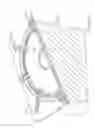 Fig. 449 - Printhead with reciprocating coils