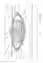Fig. 89 - Printhead with reciprocating coils