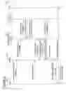 Fig. 17 - Scrambled digital data item
