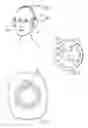 Fig. 02 - Headphone
