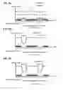 Fig. 07 - Vacuum pump
