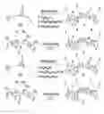 Fig. 01 - Nano-particle surface modification