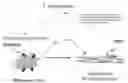 Fig. 01 - Emmprin antagonists and uses thereof