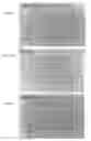 Fig. 08 - Emmprin antagonists and uses thereof