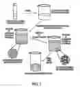 Fig. 02 - Novel cochleate formulations