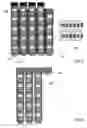 Fig. 07 - Sample support and sample store, especially for the cryopreservation of biological samples